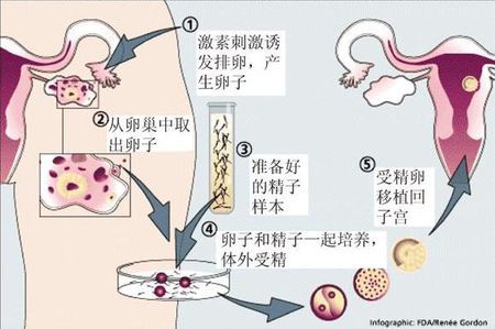 代生生男孩代怀中介